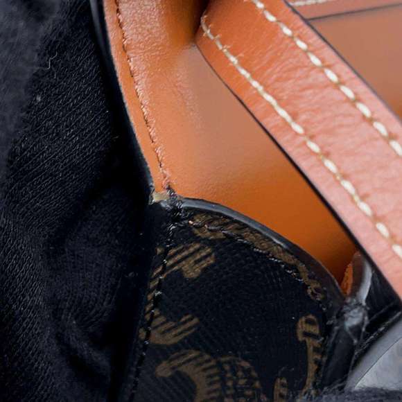 CELINE Triomphe Mobile Pouch 10K682DS3.04LU Shoulder Bag - Picture 7 of 13